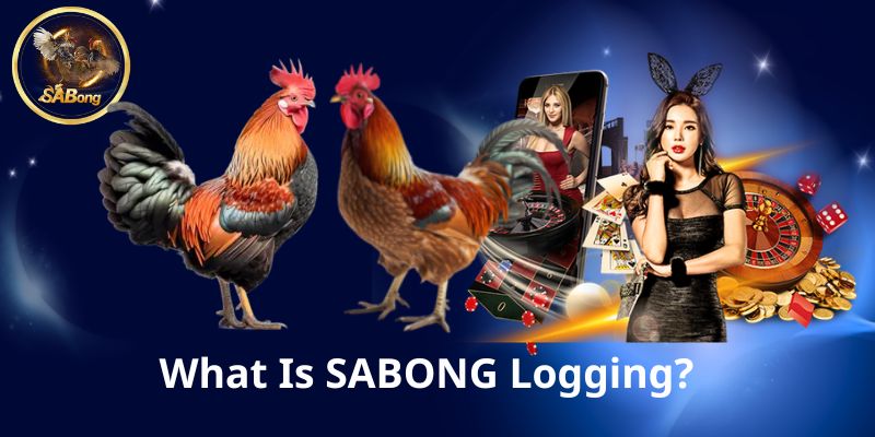 SABONG Logging – Everything You Need to Know Before Joining the Fight 1 What Is SABONG Logging?